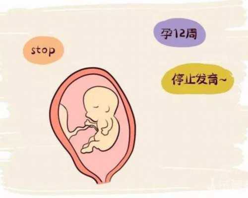 国内最大代生机构,不孕艰难 北京三院第二代试管婴儿*